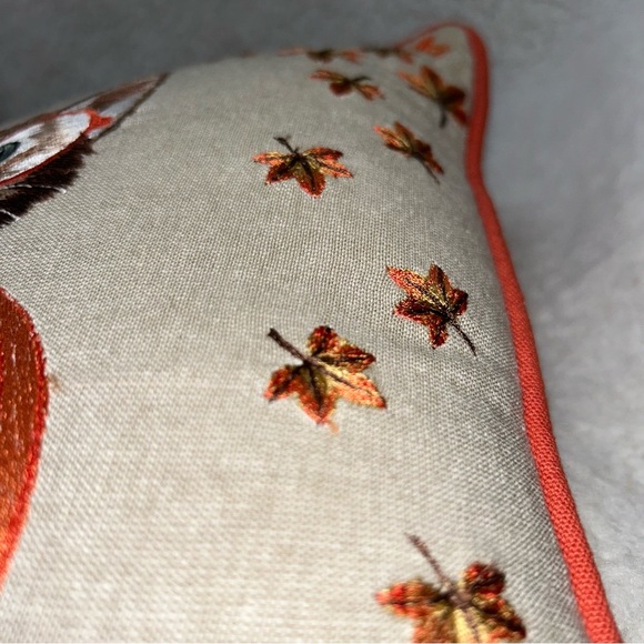 PIER 1 Harvest throw pillow kitty in pumpkin thankgiving halloween orange 12" - Picture 13 of 14